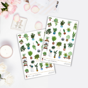 House Plants Sticker Kit